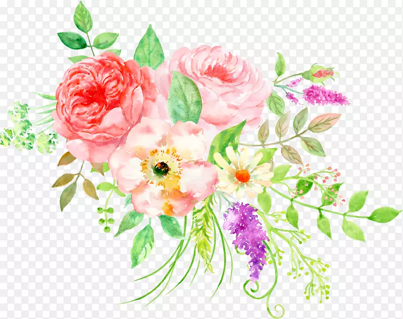 花卉水彩画花卉设计-美丽的花水彩牡丹花群