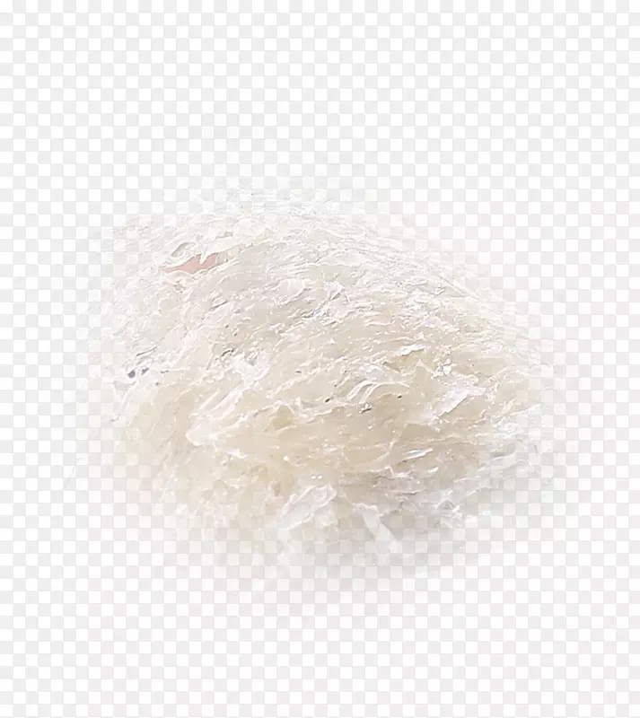 白米-白鸟巢