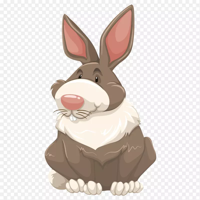 兔肉摄影剪贴画-可爱的兔子