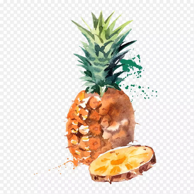 吃菠萝水果季节性食品水彩画菠萝