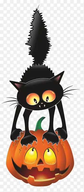 黑猫万圣节卡通剪辑艺术女巫猫