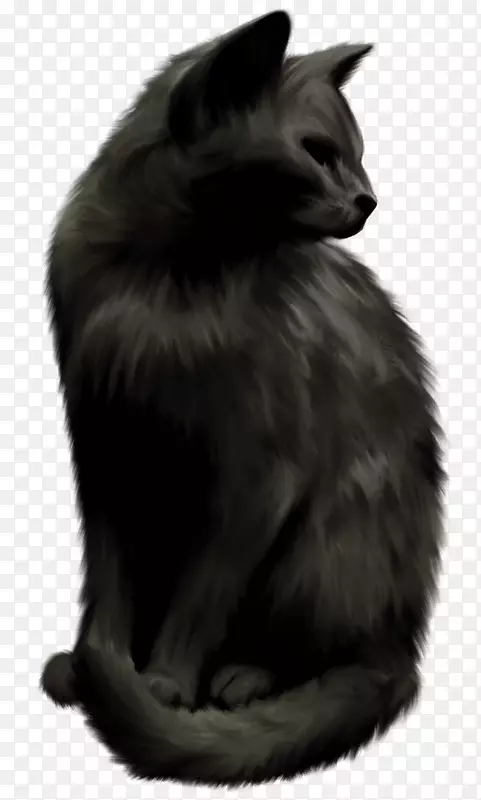 挪威森林猫Nebelung黑猫胡须女巫猫