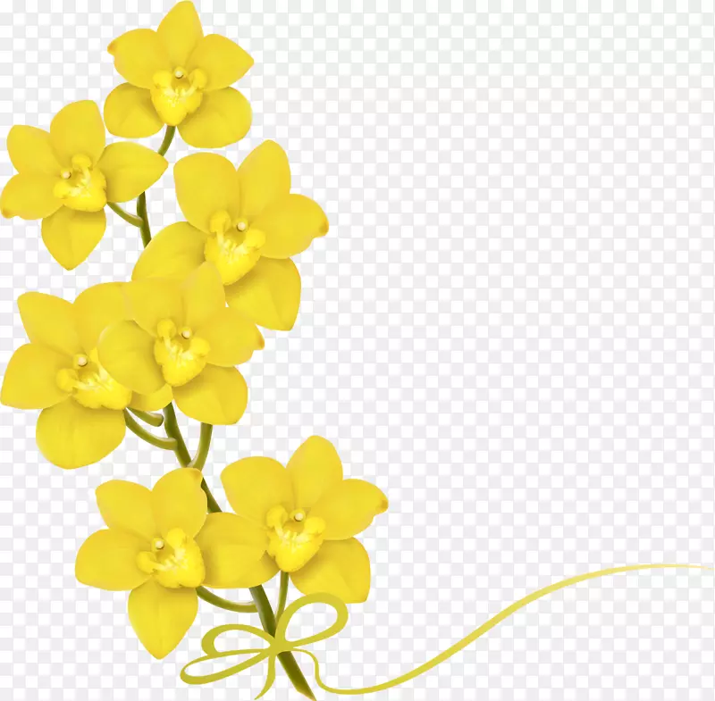 花黄色摄影-一束花