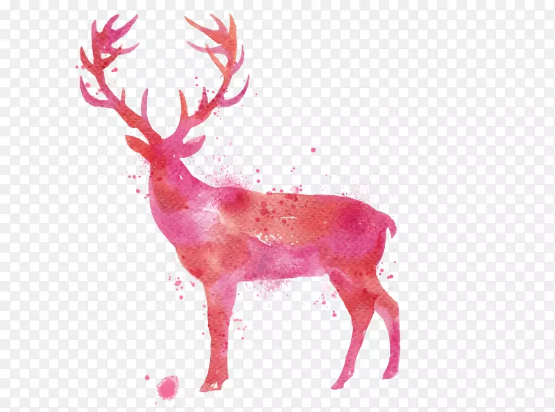 鹿水彩画-水彩画鹿