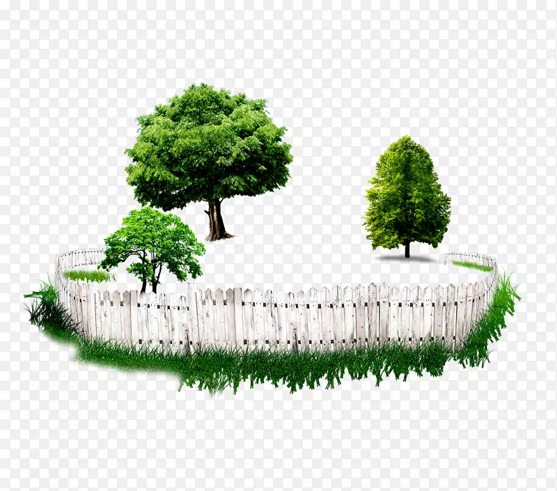 树园篱笆花盆-篱笆树