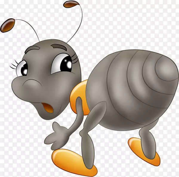 蜜蜂蚁画夹艺术.灰蚁