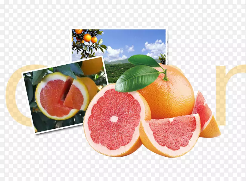 葡萄柚汁有机食品浆果血橙物质