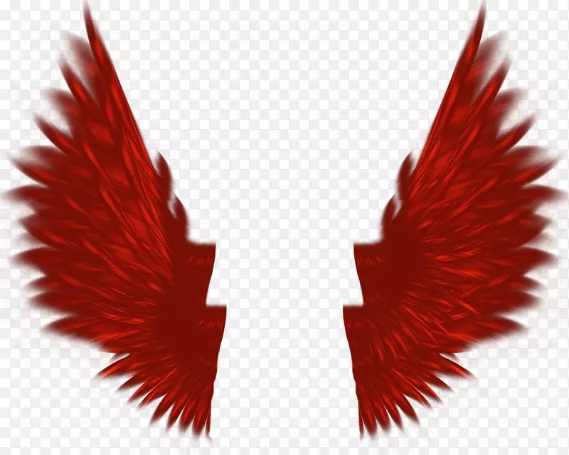 红色图标-红色翅膀