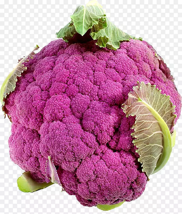 花椰菜紫色蔬菜种子紫色花椰菜