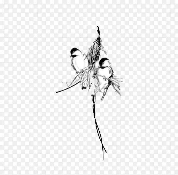 鸟类飞行黑白欧亚树麻雀-简麻雀笔