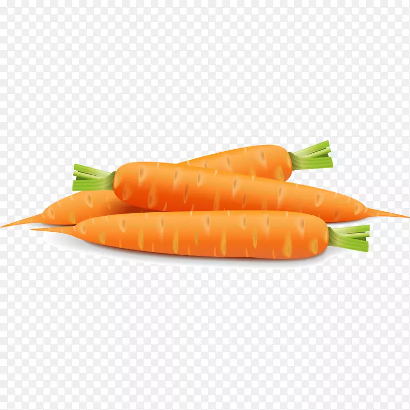 小胡萝卜蔬菜番茄胡萝卜