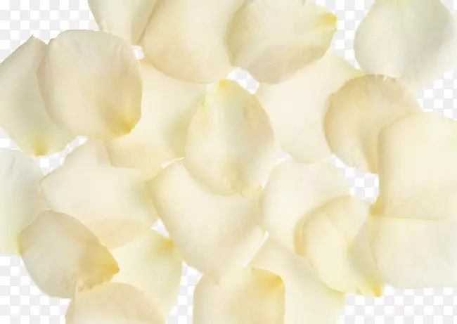 花瓣脆薯片
