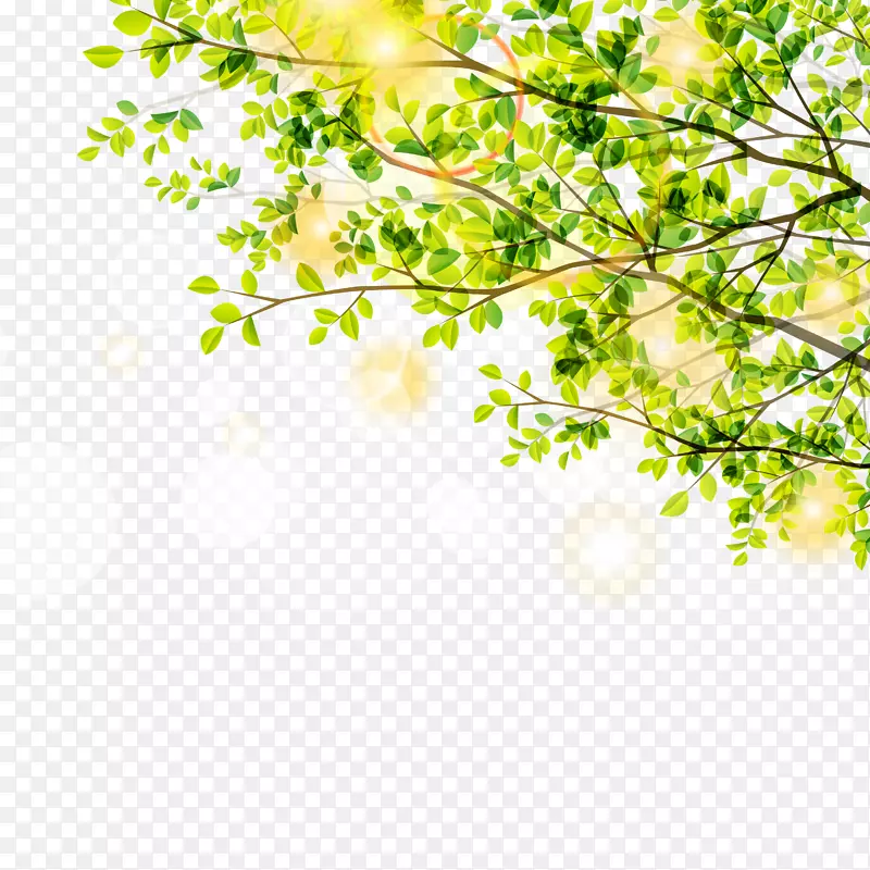 叶绿树-春树和阳光材料