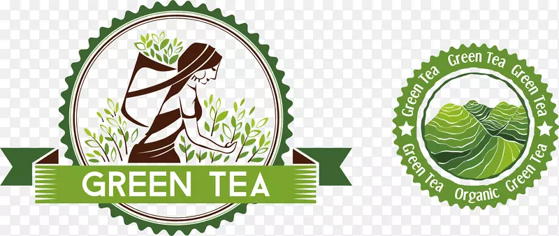 茶像-高山绿茶