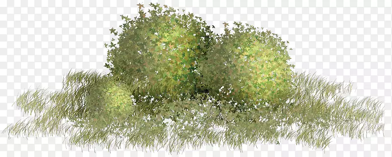 绿色剪贴画-绿草材质风暴