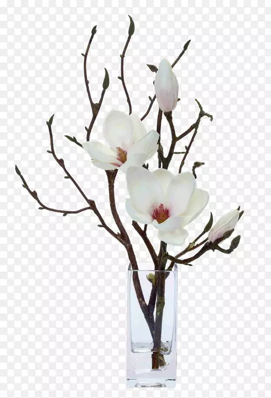 玉兰人工花卉设计-白花花卉装饰软件安装