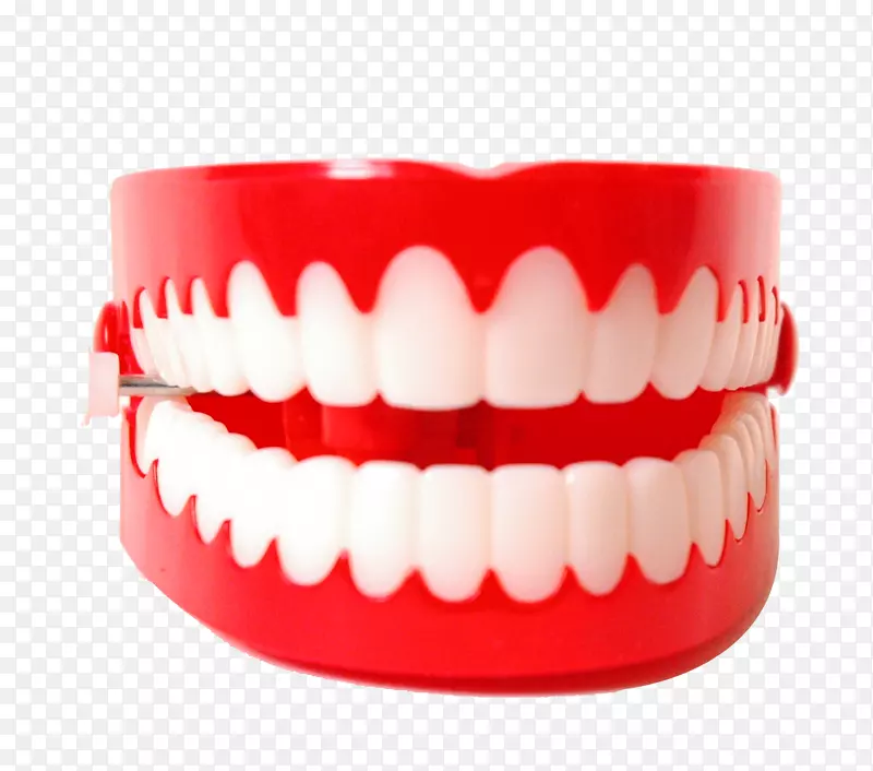 口腔牙，牙科学，磨牙，唇裂牙