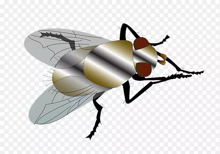 蝇蚊-创意蚊蝇