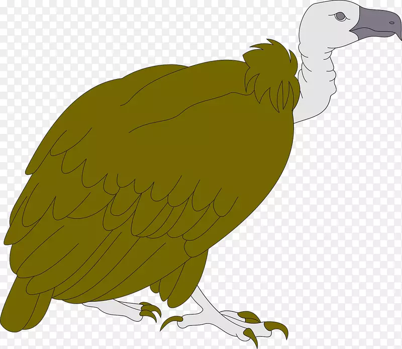 火鸡秃鹫剪艺术跑鸵鸟