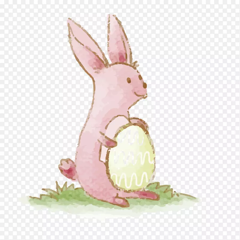 复活节兔-兔媒兔