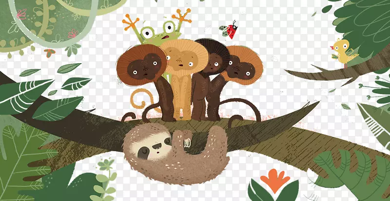 考拉袋熊插图-考拉画的猴子青蛙