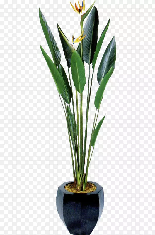花盆图标-绿色植物