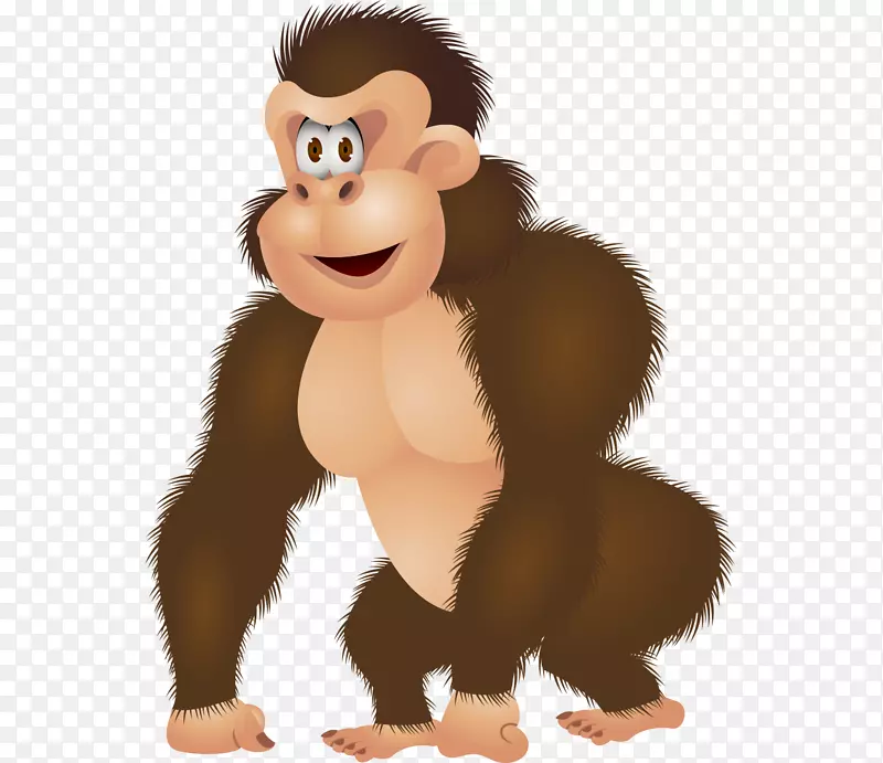 猩猩类人猿金刚插图-可爱的手绘卡通大猩猩
