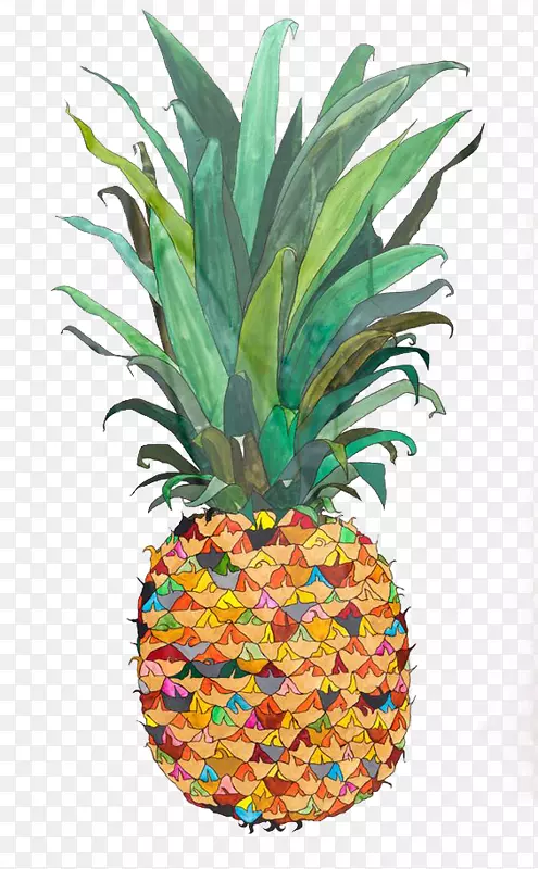 菠萝水彩画水果插图-菠萝