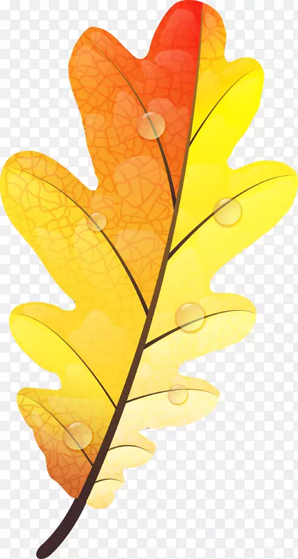 秋天的叶子颜色黄色的秋天的叶子颜色-黄色的秋叶