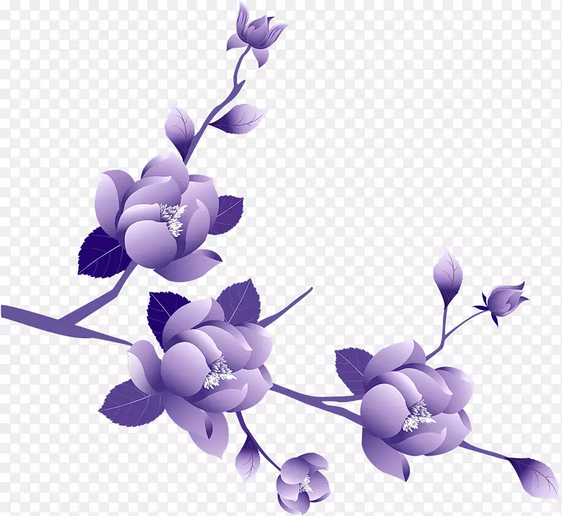 紫花玫瑰剪贴画.透明花环