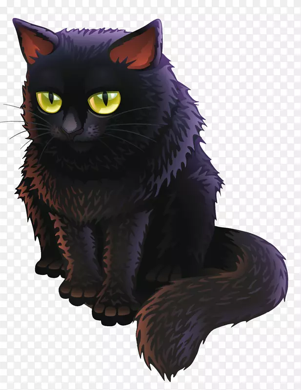 孟买猫黑猫小猫女巫猫