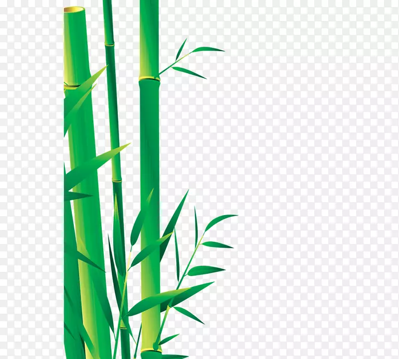竹子图标-竹子