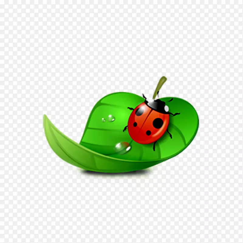 瓢虫剪贴画-绿叶瓢虫