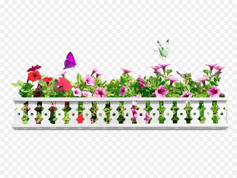 花卉栅栏摄影-阳台