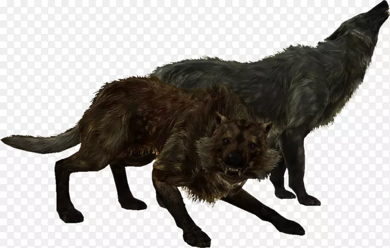 老年卷轴v：Skyrim u 2013龙出生的遗忘灰狼模型-狼