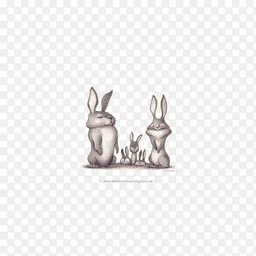 兔子插画插图-卡通兔子