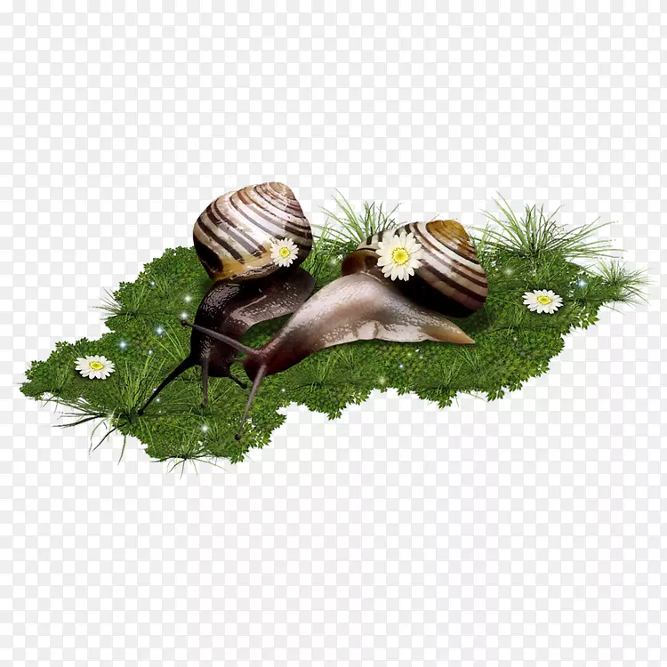 蜗牛夹艺术-蜗牛