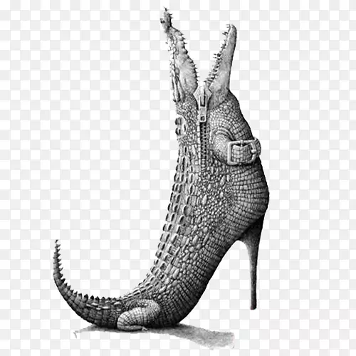 等高线绘画艺术动物插图.鳄鱼高跟鞋