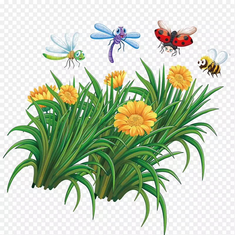 昆虫蜜蜂插图.花蜜蜂