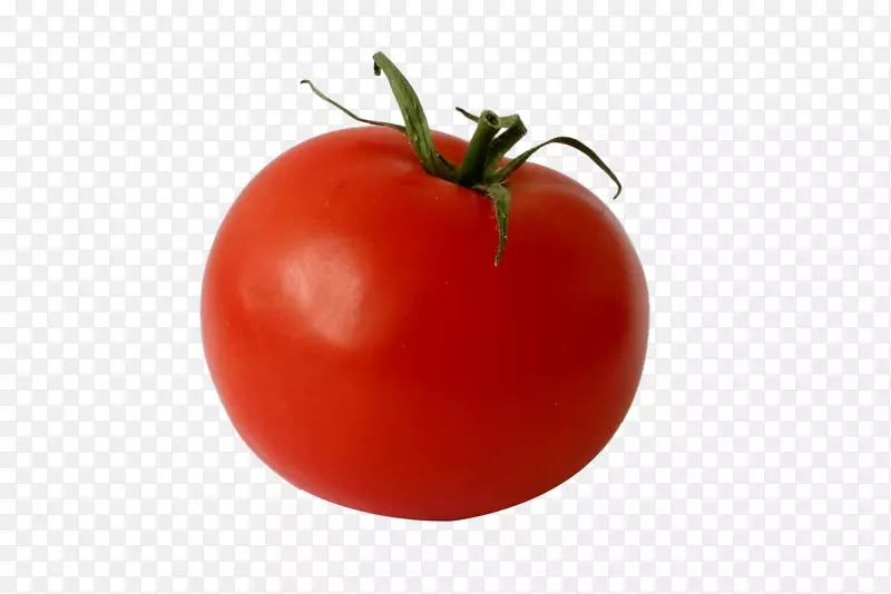 灌木丛番茄提供大小的饮食-一种西红柿