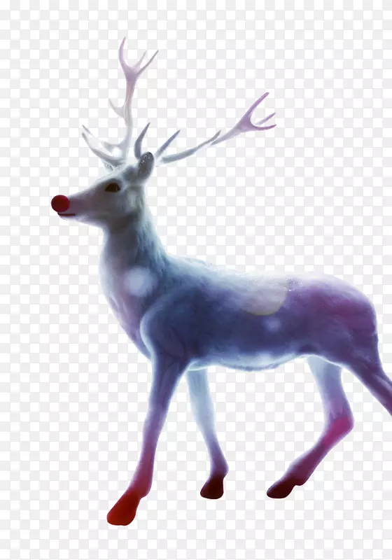 圣诞老人驯鹿圣诞礼物-鹿