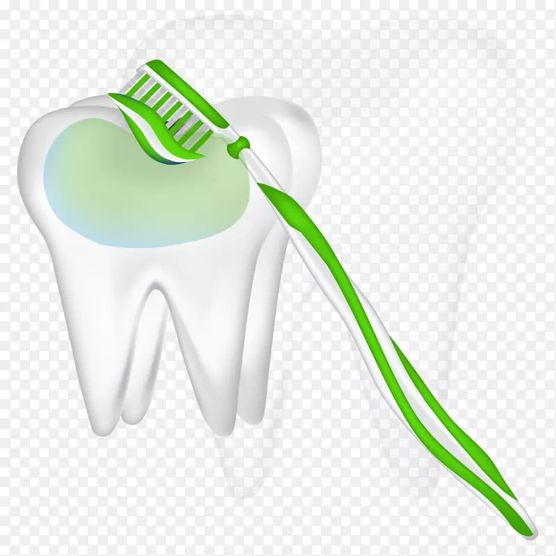 牙刷绿色剪贴画.绿色牙刷和牙轮