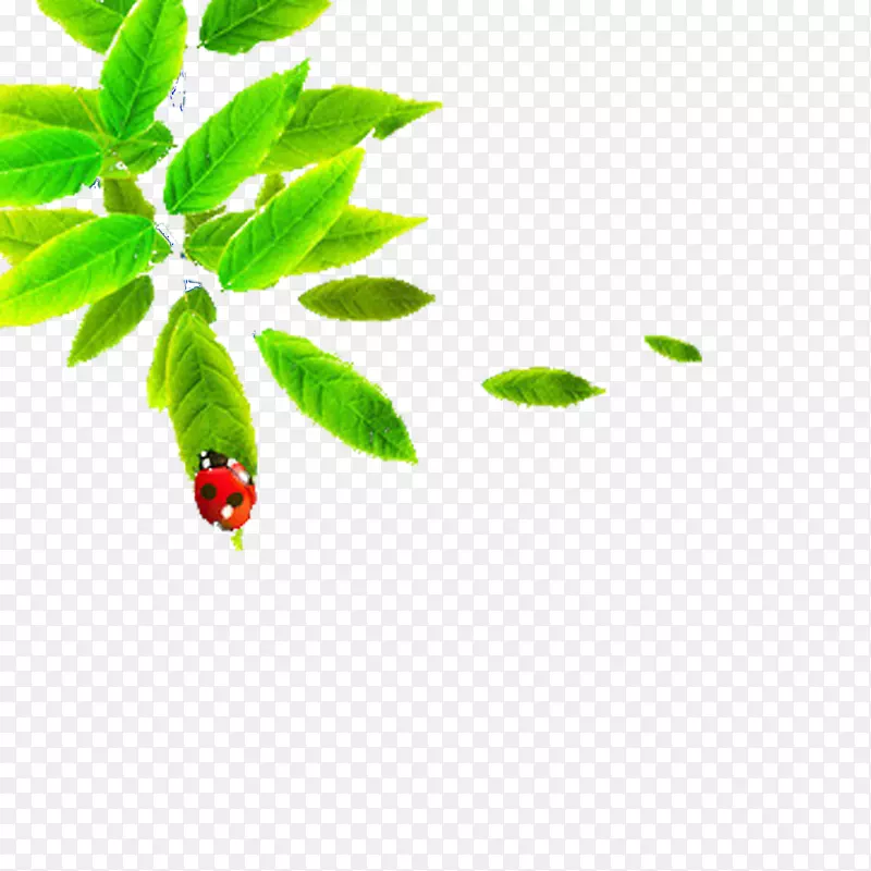 淘宝欧式瓢虫叶