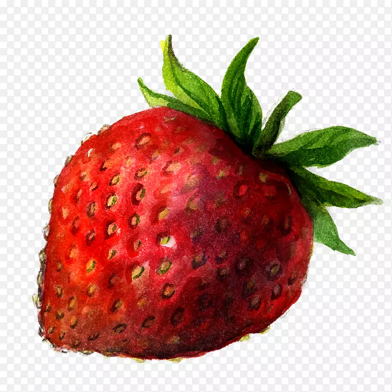 草莓画插图