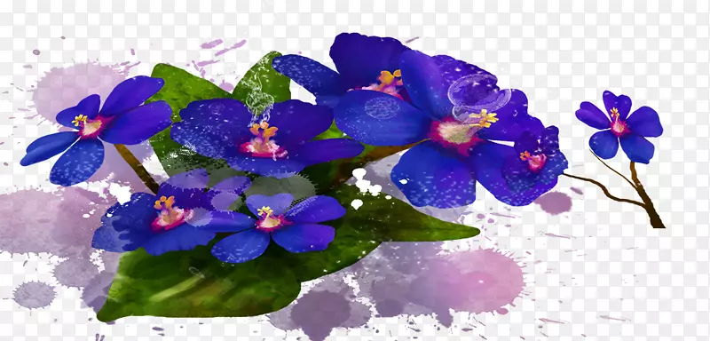 花卉设计蓝色花瓣草本植物-花束