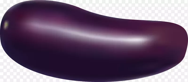 紫茄子载体