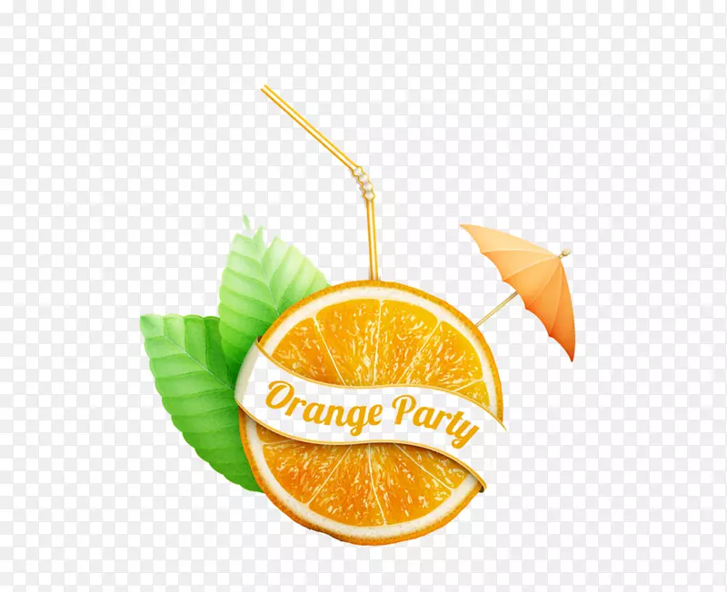 橙汁朗姆酒鸡尾酒.葡萄柚装饰元素