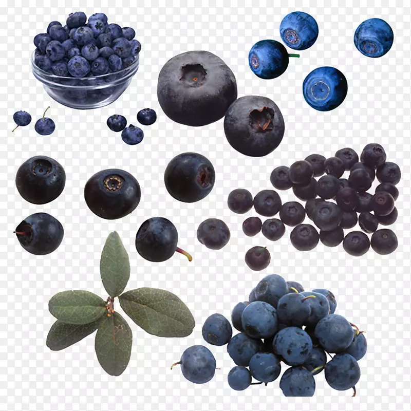 蓝莓-蓝莓和紫色分散的蓝莓熊果苷