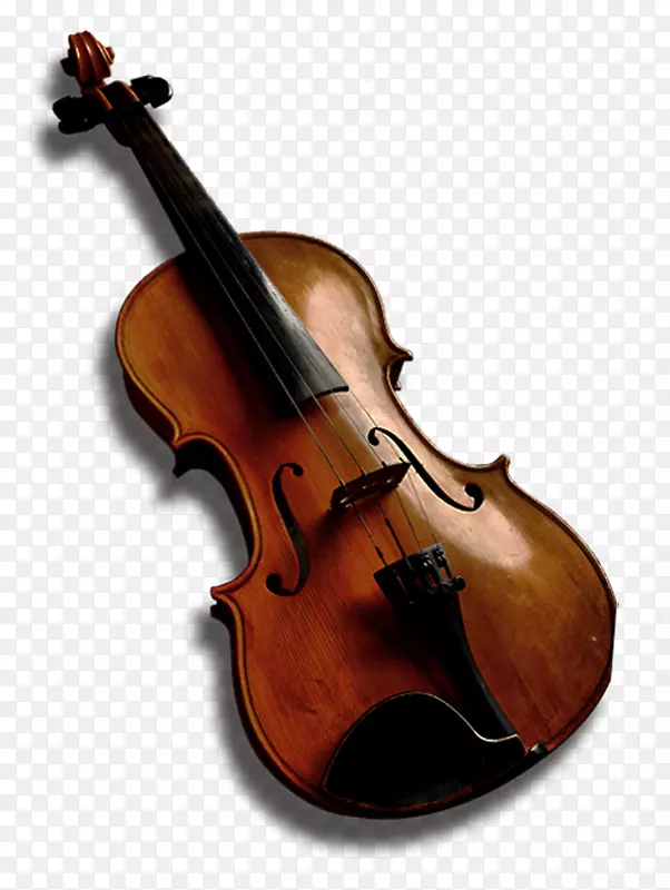 低音小提琴中提琴低音小提琴西方乐器