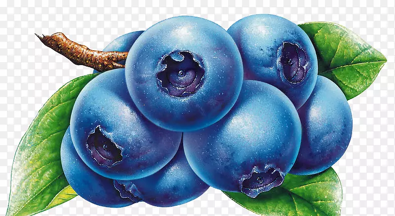 蓝莓画片艺术-蓝莓
